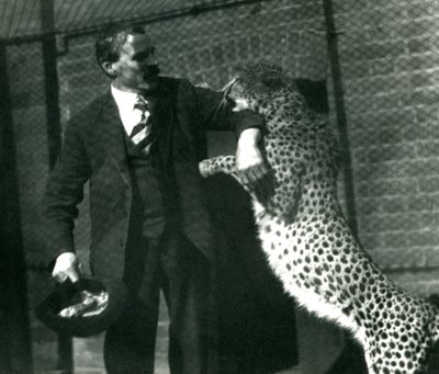 Keeper Charles Dixon with a playful cheetah at London Zoo, October 1922 by Frederick William Bond